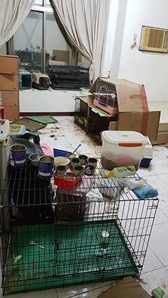 台南房屋清空,室內雜物垃圾清空