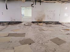 台南新市區廢棄物清運處理