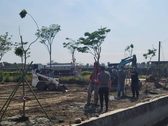 台南小山貓怪手整地