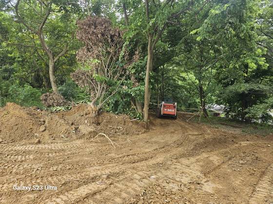 台南新化小山貓整地