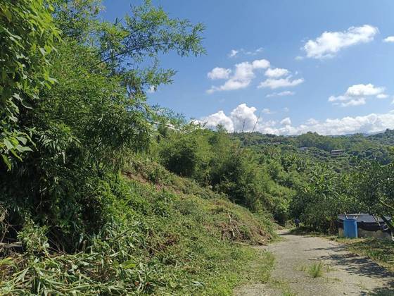 台南關廟區山坡整地