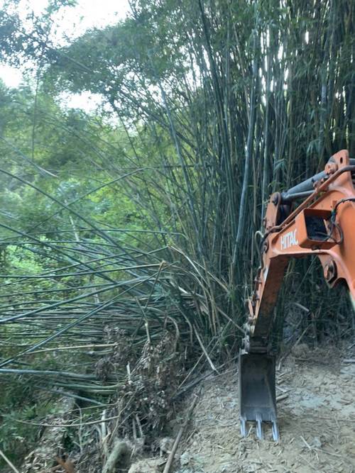 關廟山坡整地