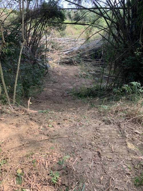 關廟山坡整地