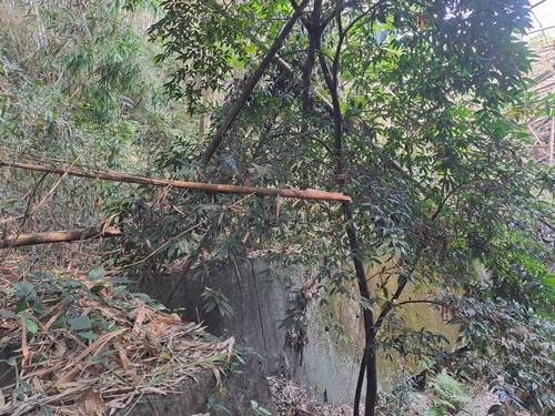 關廟山坡整地