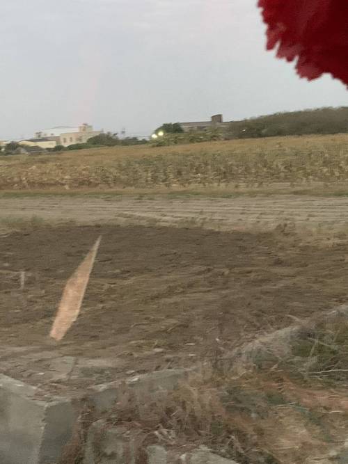台南將軍整地