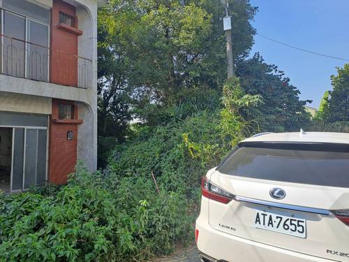 高雄大樹區整地
