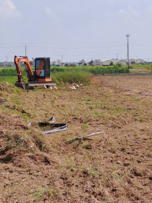 台南將軍整地