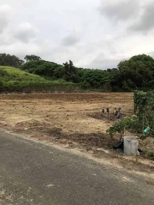 台南新化整地