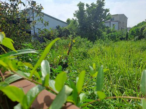 台南關廟整地