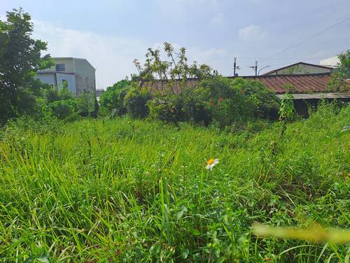 台南關廟整地