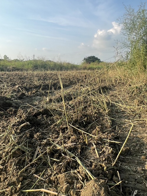 高雄路竹區蔡先生怪手整地
