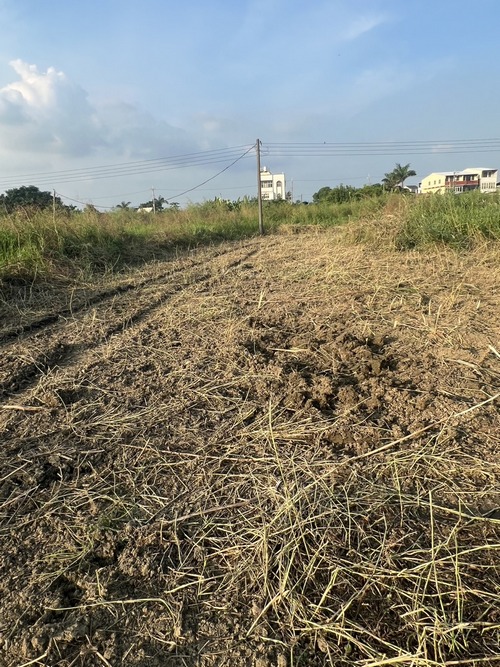高雄路竹區蔡先生怪手整地