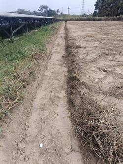 �x�n�s�W�ϩǤ��a