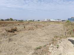 �x�n�w�n�ϩǤ��a