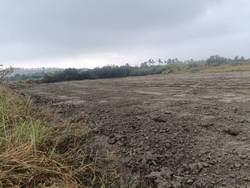 �x�n�w�n�ϩǤ��a