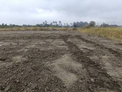 �x�n�w�n�ϩǤ��a