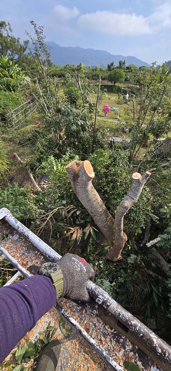 台南南化區吊籠作業