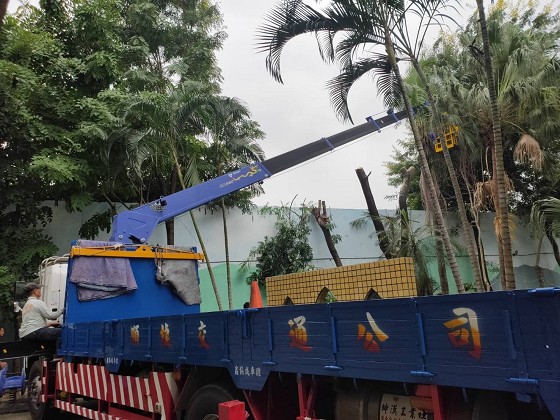 台南樹木修剪鋸樹