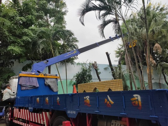 台南樹木修剪鋸樹