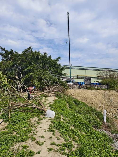 台南樹木修剪鋸樹