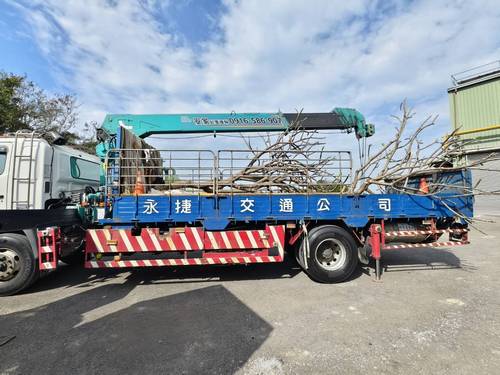 台南樹木修剪鋸樹