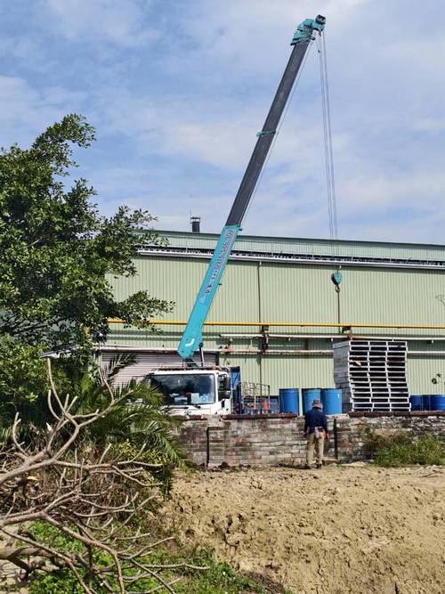 台南樹木修剪鋸樹