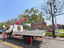 台南樹木修剪鋸樹