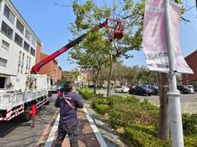 台南樹木修剪鋸樹