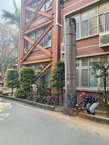 台南樹木修剪鋸樹