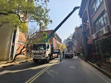 台南樹木修剪鋸樹