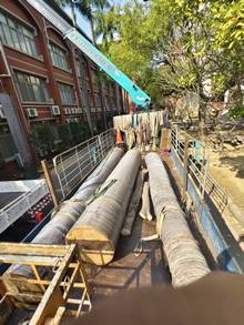 台南樹木修剪鋸樹