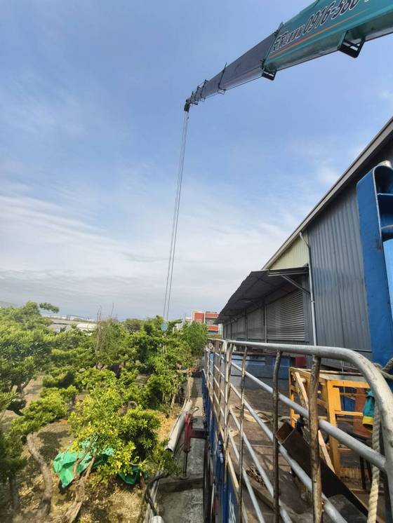 台南樹木修剪鋸樹