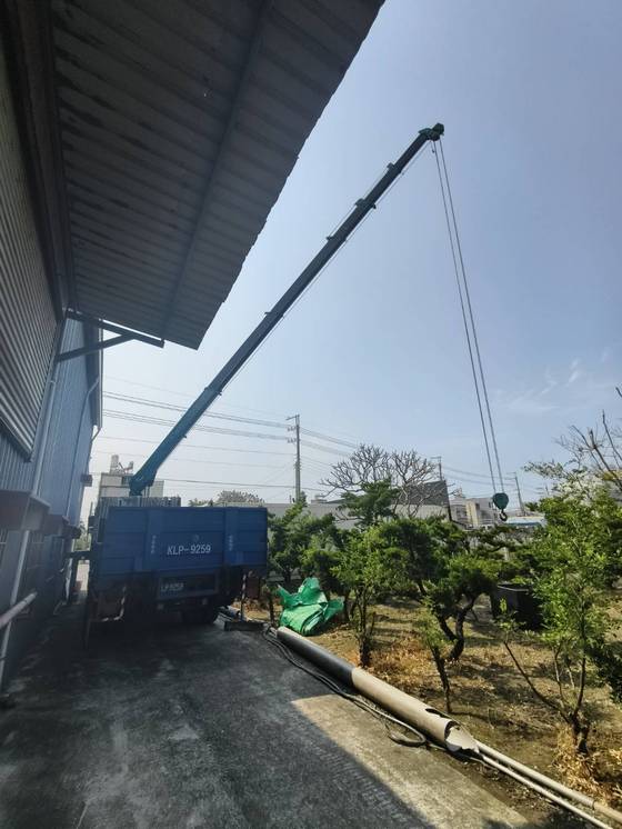 台南樹木修剪鋸樹