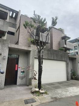 台南樹木修剪鋸樹