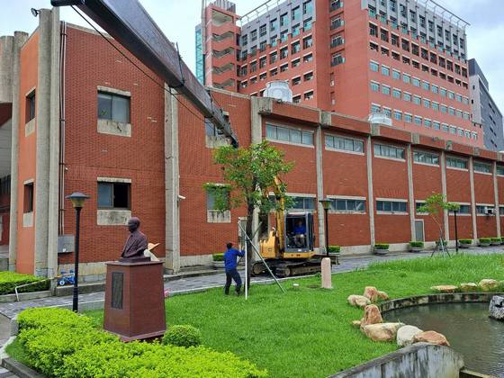 台南樹木修剪鋸樹