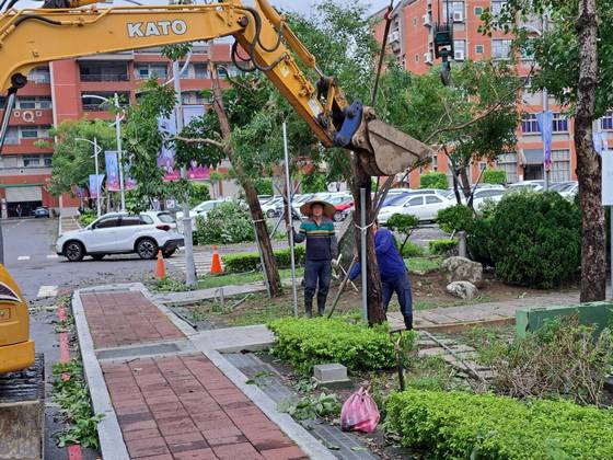 台南樹木修剪鋸樹