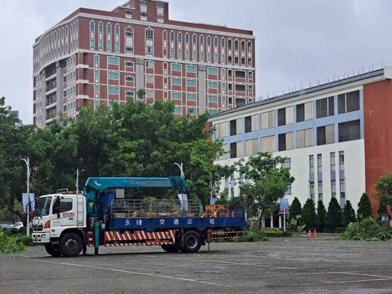 台南樹木修剪鋸樹