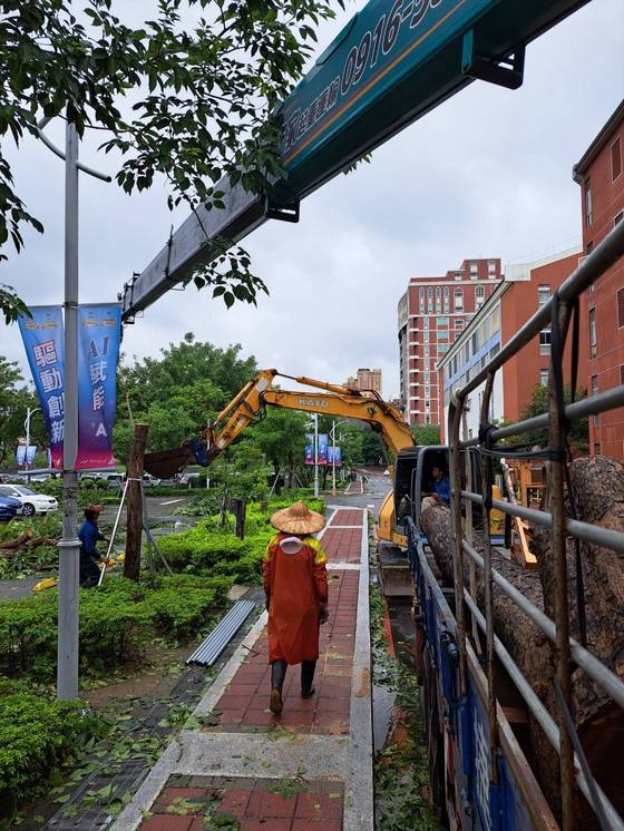 台南樹木修剪鋸樹