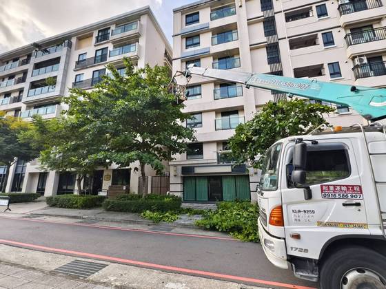 台南樹木修剪鋸樹