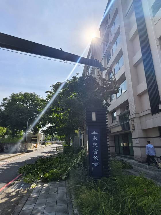 台南樹木修剪鋸樹