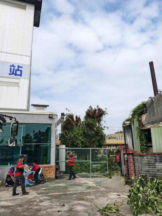 台南樹木修剪鋸樹