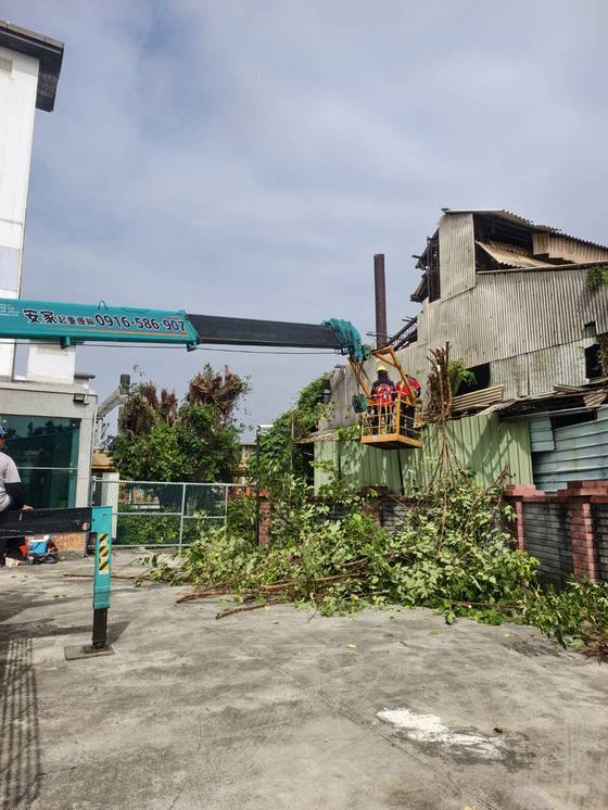 台南樹木修剪鋸樹