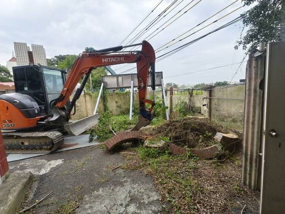 台南樹木修剪鋸樹
