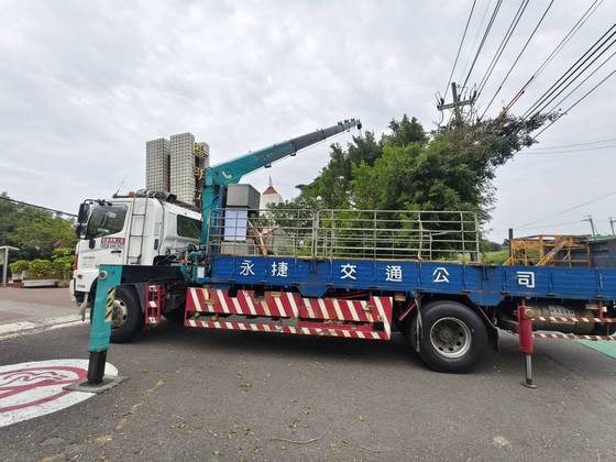 台南樹木修剪鋸樹