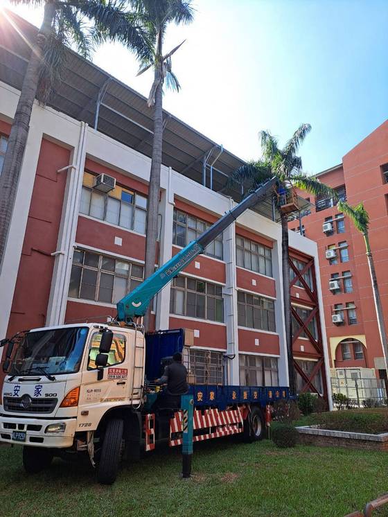 台南永康區樹木修剪鋸樹