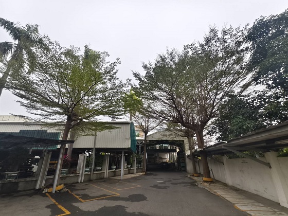 台南歸仁區樹木修剪鋸樹